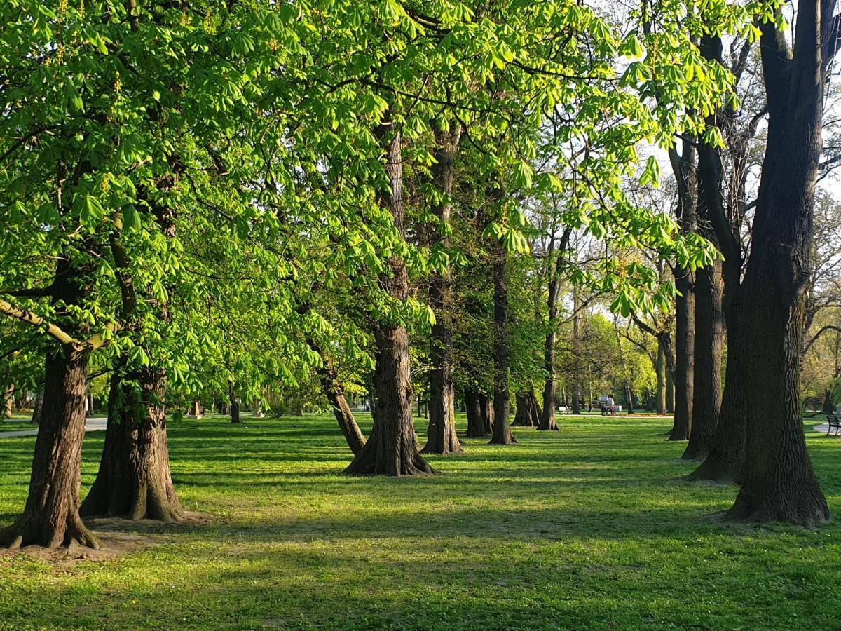 Park Lane Apartment Lea Krasków Dış mekan fotoğraf